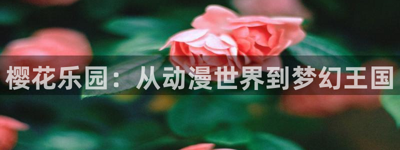 omofun动漫官网正版下载