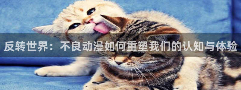 omofun是什么：反转世界：不良动漫如何重塑我们的认知与体验