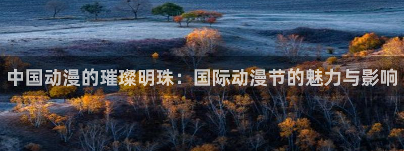 omofun老版本：中国动漫的璀璨明珠：国际动漫节的魅力与影响