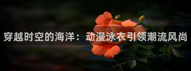 omofun动漫网在线观看：穿越时空的海洋：动漫泳衣引领潮流风尚
