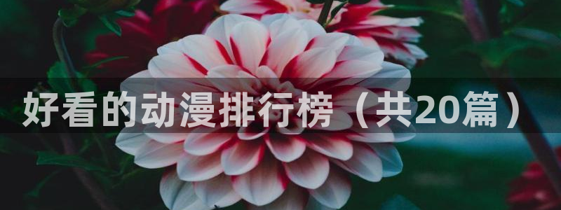 动漫软件omofun：好看的动漫排行榜（共20篇）