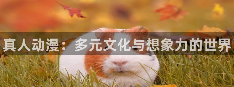 omofun在线：真人动漫：多元文化与想象力的世界