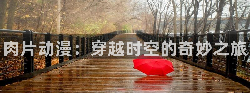 omofun旧版本：肉片动漫：穿越时空的奇妙之旅