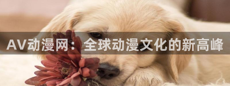 免费下载omofun：AV动漫网：全球动漫文化的新高峰