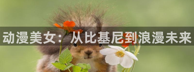 omofun动漫软件下载免费版：动漫美女：从比基尼到浪漫未来