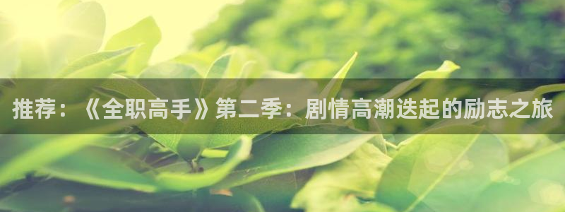 omofun官网网站入口：推荐：《全职高手》第二季：剧情高潮迭起的励志之旅