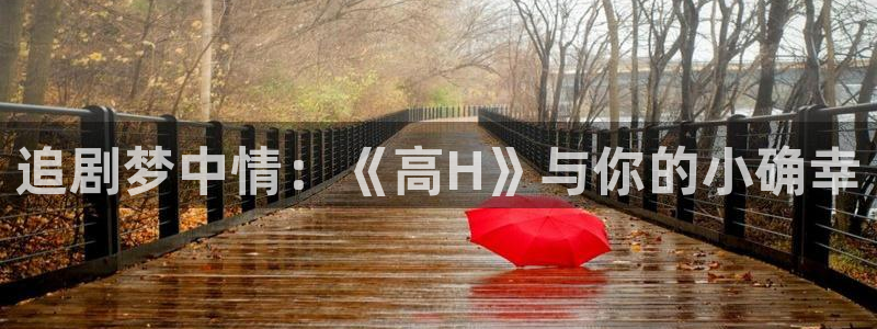 omofun动漫下载ios版：追剧梦中情：《高H》与你的小确幸