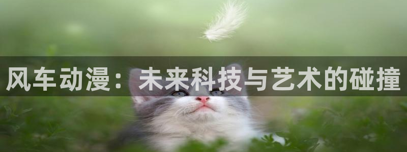 omofun新版本下载：风车动漫：未来科技与艺术的碰撞