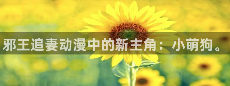 omofun下载官方正版网站：邪王追妻动漫中的新主角：小萌狗。