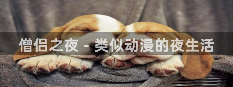 omofun下载ios：僧侣之夜 - 类似动漫的夜生活