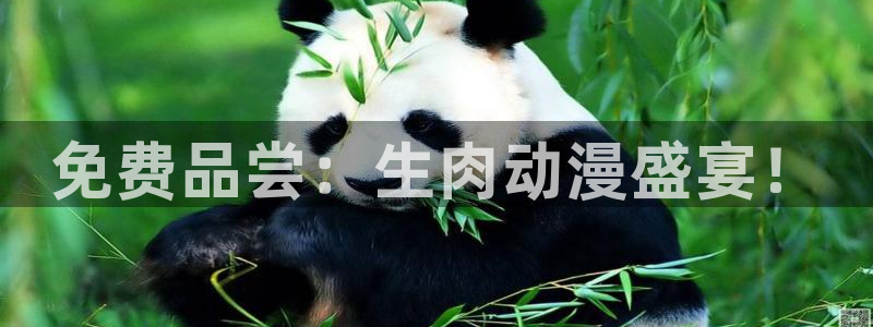 omofun动漫官网最新版：免费品尝：生肉动漫盛宴！