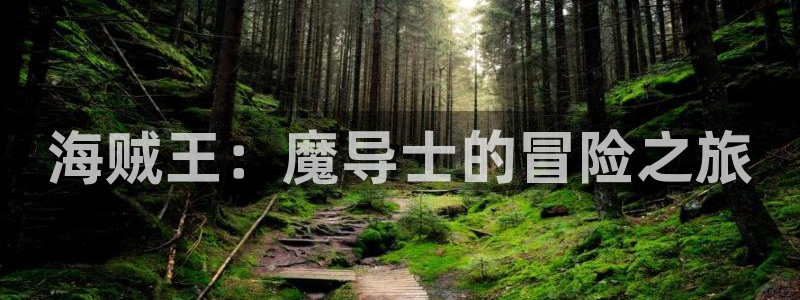 omofun在线观看动漫：海贼王：魔导士的冒险之旅