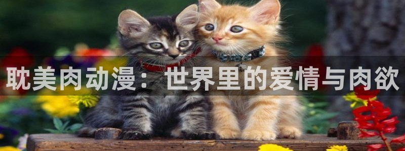 免费下载omofun：耽美肉动漫：世界里的爱情与肉欲