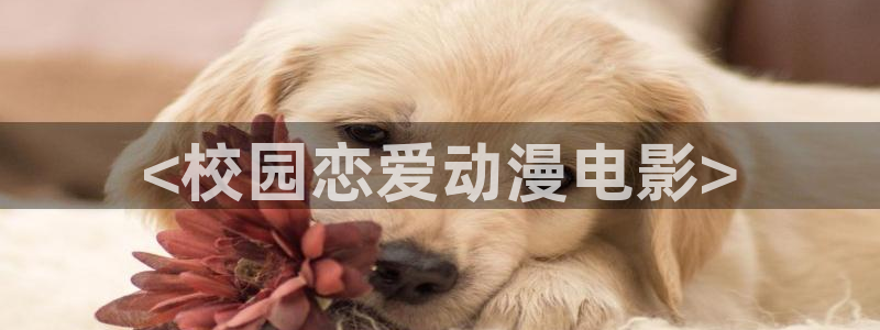 omofun动漫网站入口