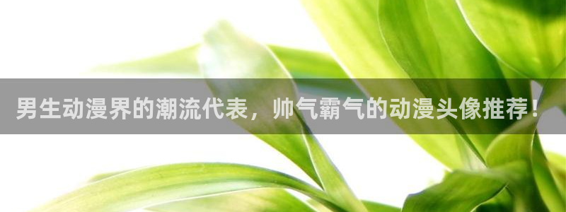 omofun宕卧