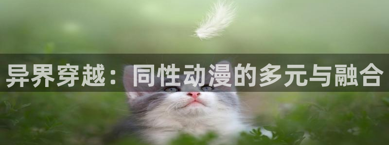 omofun动漫官方下载