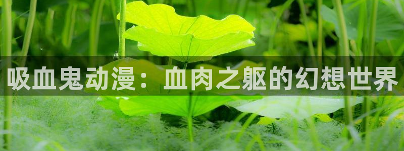 omofun是什么